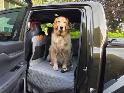 Hard-Bottom Dog Travel Platform